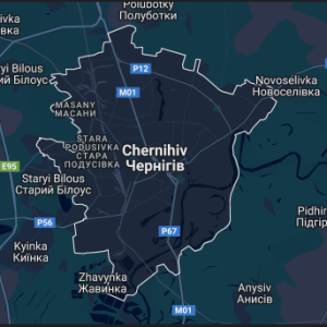 Нова жіноча футболка з новим прінтом